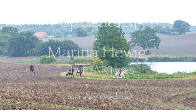Jagd Kletkamp 26-02962_MarinaHewig | Fotografie, FotoArt, PferdesportArt, Pferdesportfotografie, Landschaftsfotografie, Reisefotografie, Reise, Pferde - Realisiert mit Pictrs.com
