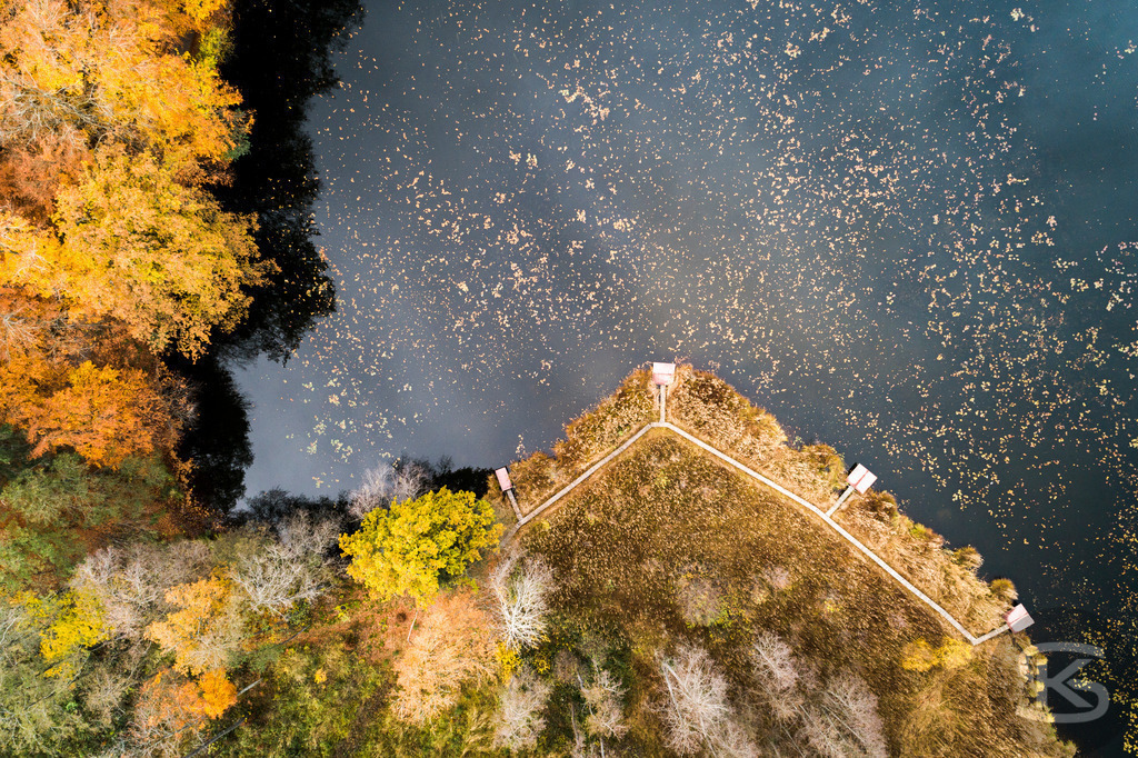 Allgäu-See-Landschaft, Bootssteg aus der Luft mit dichtem Mischwald im Herbst | Atemberaubende Allgäu-See-Landschaft mit Bootssteg aus der Luft und farbenprächtigem Mischwald im Herbst – idyllische Natur, klare Gewässer und leuchtende Herbstfarben, beeindruckende Drohnenaufnahme - Realisiert mit Pictrs.com
