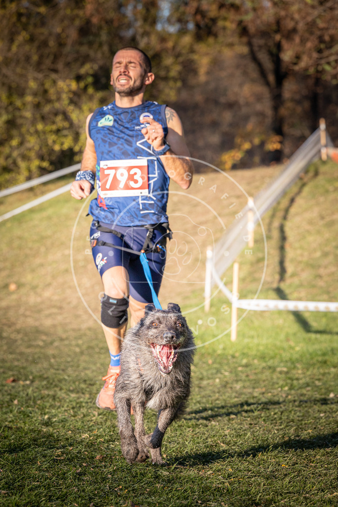 CaniXpix_0L8A0231 | Hundefotografie, Tierfotograf, Pfotenfotografie, Fotoshooting Hund, Hunde Portrait, Hundesport, Hundeportraits, Heideshooting, Hunde, Sportfotograf, Hundefotograf, Turnierhundsport, THS,  - Realisiert mit Pictrs.com