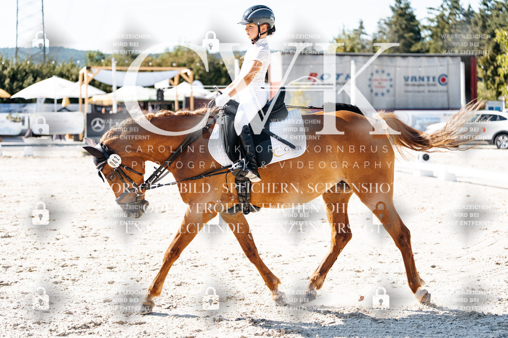 CK903314 | Turnierfotografie Pferdefotografie Trier Rheinland-Pfalz Pferdesport Reitsport Tierfotografie Sportfotografie Pferdevideo Pferdevideografie Equestrianvideography equestrianphotography  - Realisiert mit Pictrs.com