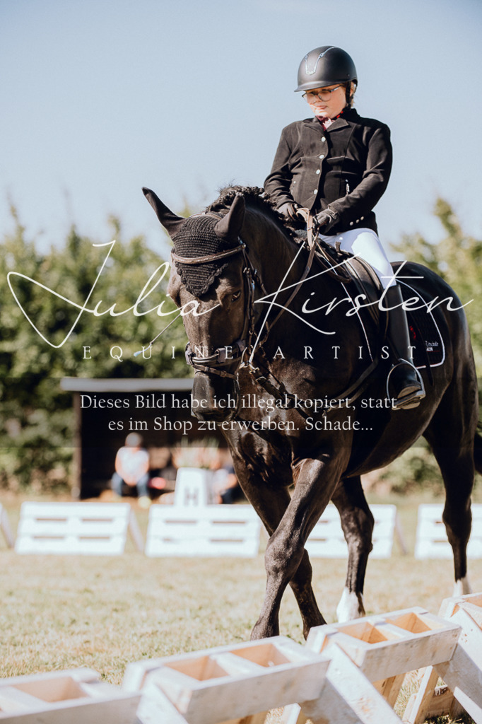 DSC_6999 | Pferde- und Turnierfotografie in Westsachsen. Pferdeportraits, Auftragszeichnungen und intuitive Kunst.