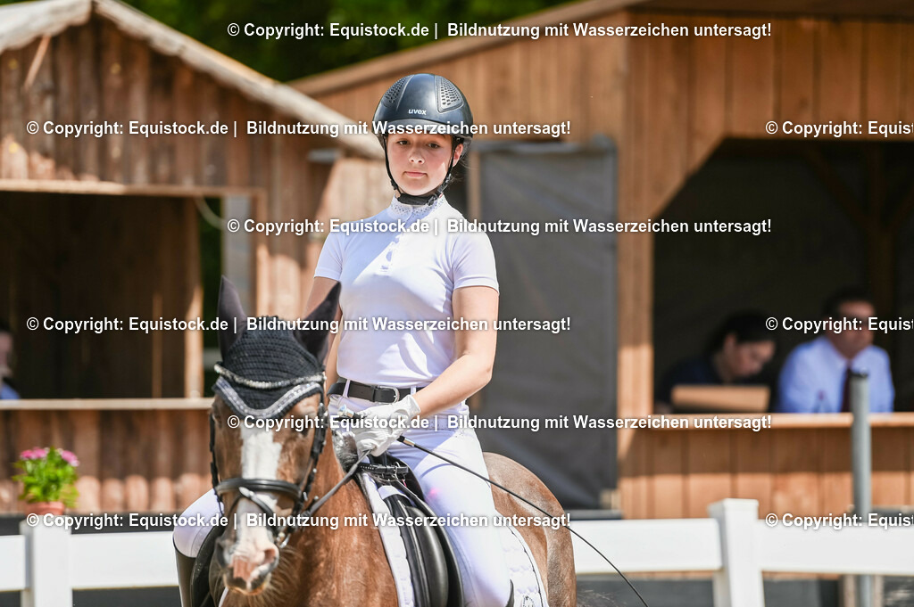 20230715_09_Dressur-WB_0138 | equistock