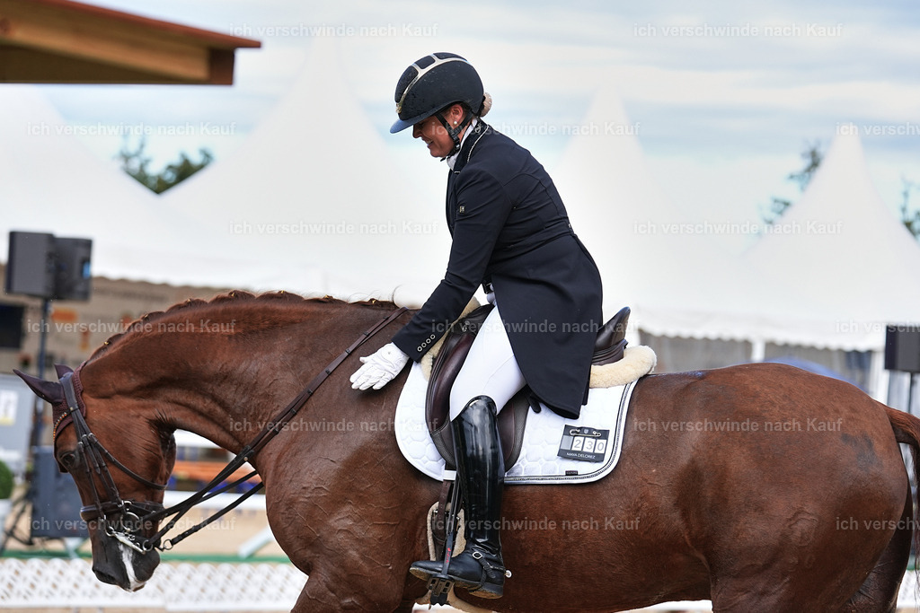 10-230-ST.GEORG SPECIAL -Marixx-3345 | working equitationturnier fotograf videograf stoibphotography marixx film working equitation deutschland reitsport turnierfotografie eventfotografie equestrian events