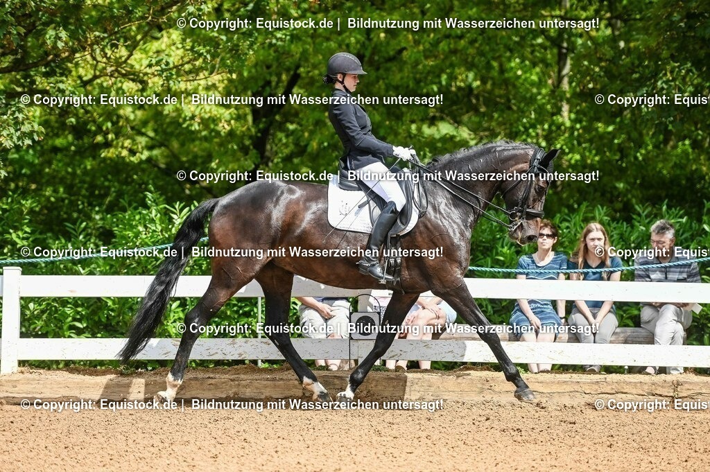 20230716_01_Dressurprüfung Kl.M_0052 | equistock