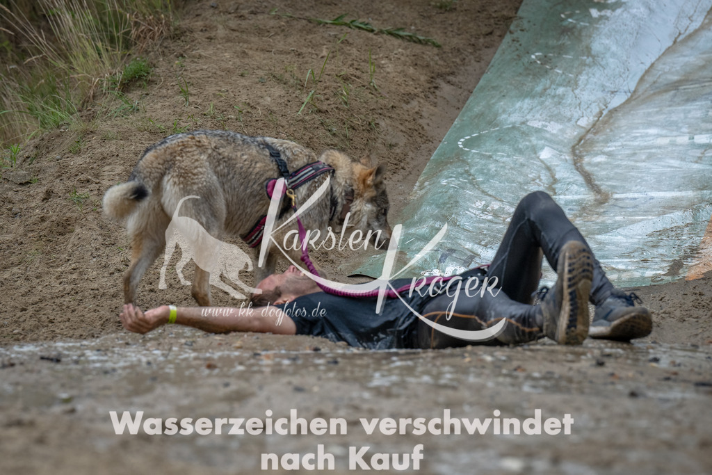 1649_ZZ90523-Bearbeitet | kk-dogfotos