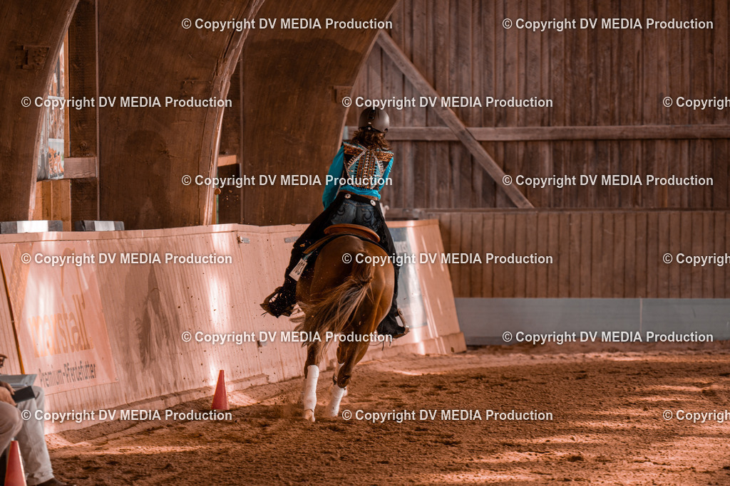 NE201117 | dv-media-shop - Realisiert mit Pictrs.com