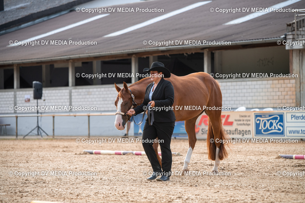 EWP_5551 | dv-media-shop - Realisiert mit Pictrs.com