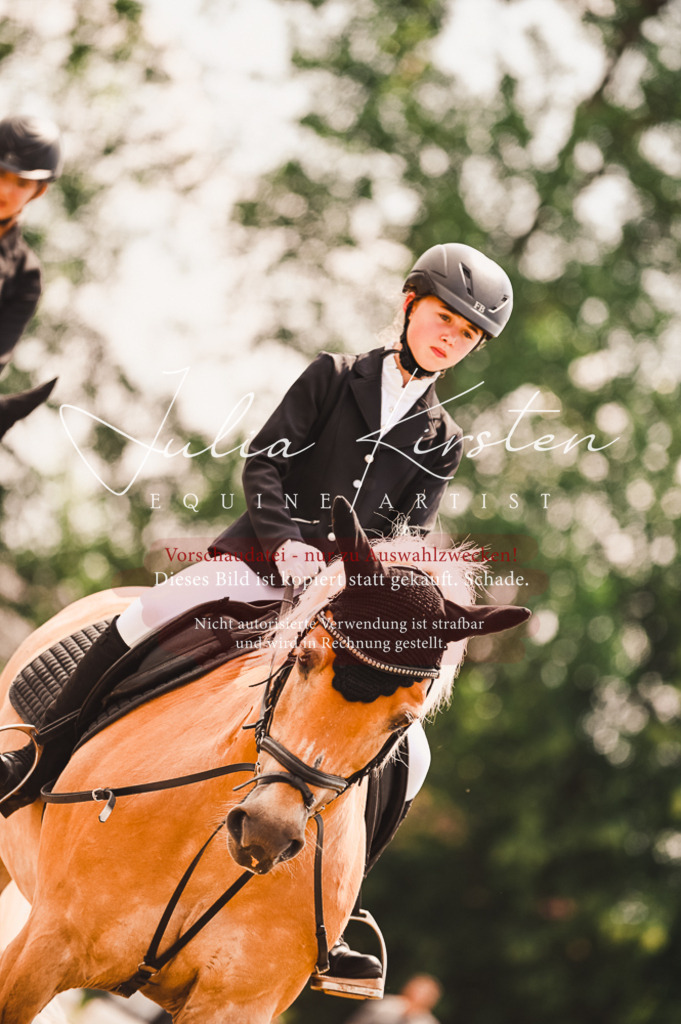 DSC_6229 | Pferde- und Turnierfotografie in Westsachsen. Pferdeportraits, Auftragszeichnungen und intuitive Kunst.