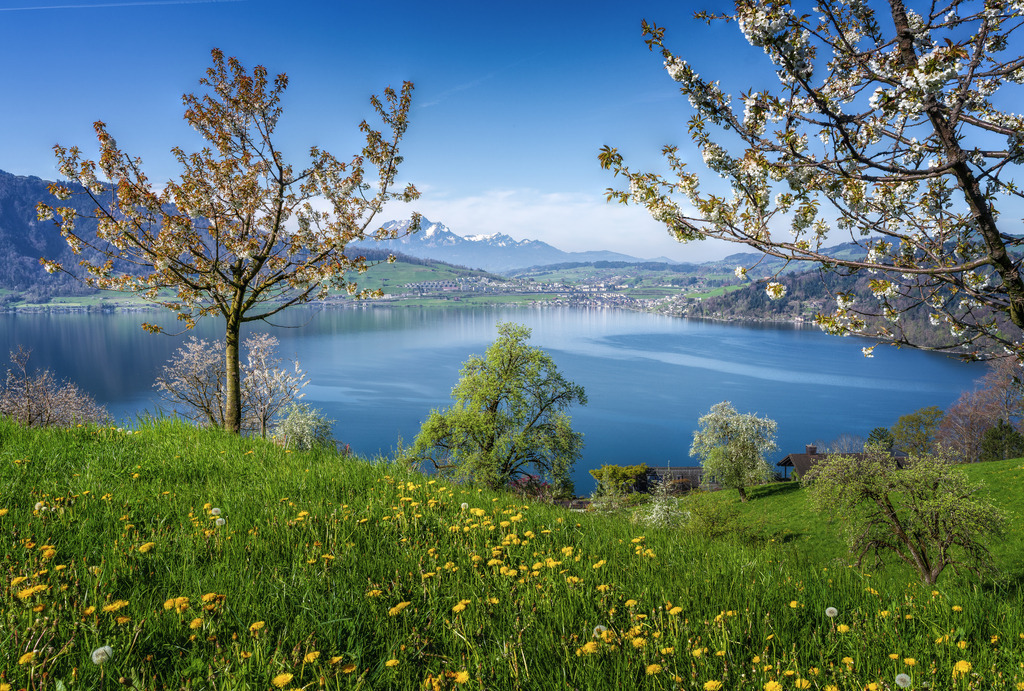 Zugersee im Frühling | Aufnahme vom Walchwilerberg auf den Zugersee mit Pilatus im Hintergrund - Realisiert mit Pictrs.com