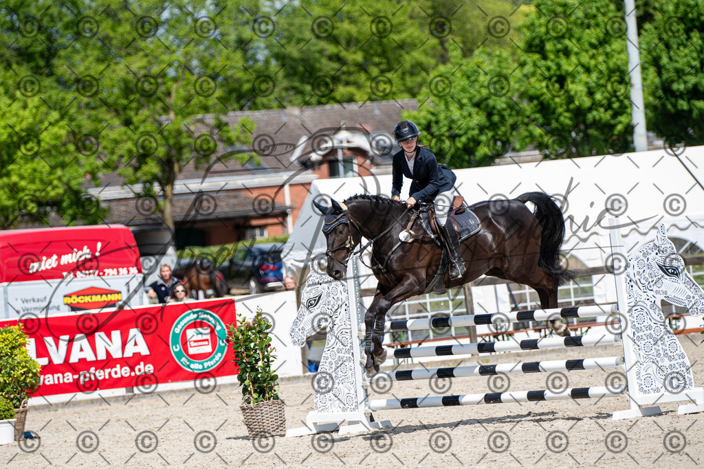 KPT_5263 | andre_photographic