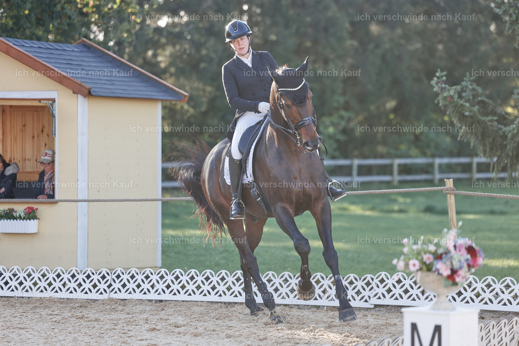 09_1-193-DRESSUR  S_  -StoibPH-5487 | working equitationturnier fotograf videograf stoibphotography marixx film working equitation deutschland reitsport turnierfotografie eventfotografie equestrian events