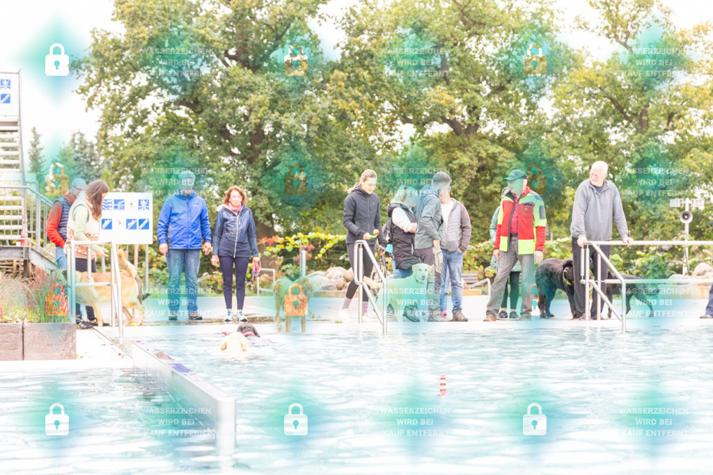 _HP_7183_1000o | HetPix, HetPix Fotodesign, Fotografie, Fotodesign, Webshop, Sportfotografie, Portraitfotografie, Onlineshop, Sportfotografie, Polch, Motorsportfotografie, Eventfotografie