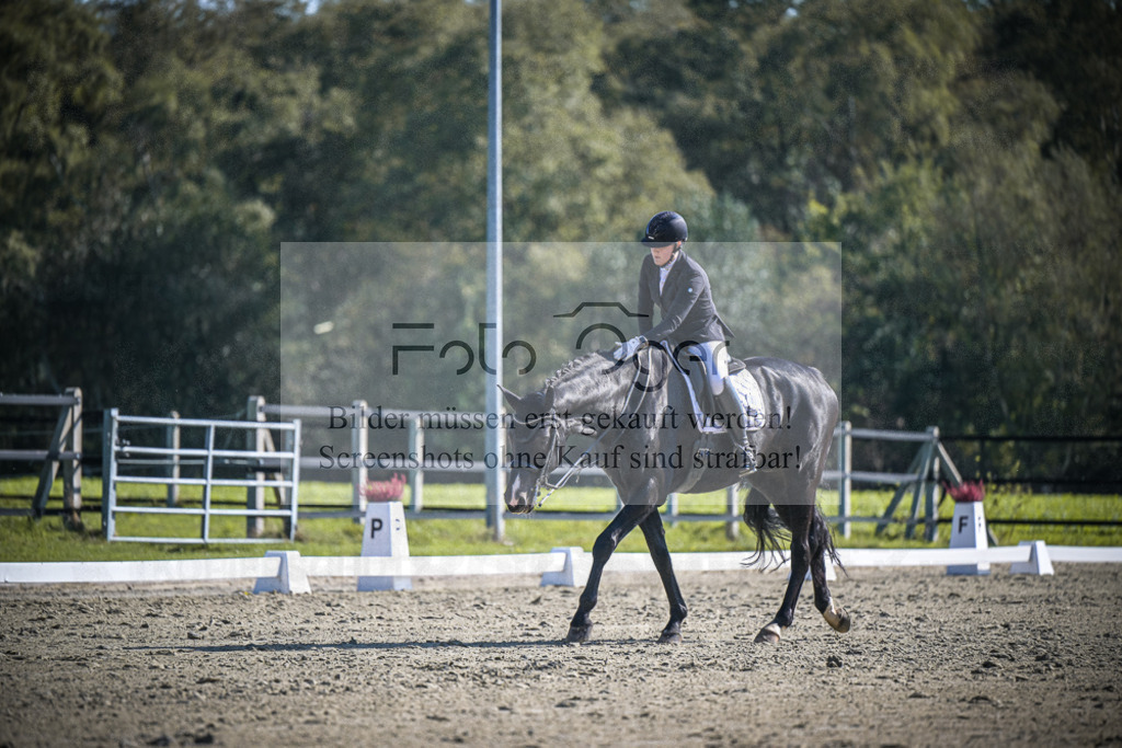DOS_2294 | Entdecke hochwertige Reitturnierfotos von Foto Oger. Professionell, emotional und authentisch – jetzt Lieblingsmomente im Shop bestellen.Deutschlandweite Turnierfotografie. - Realisiert mit Pictrs.com