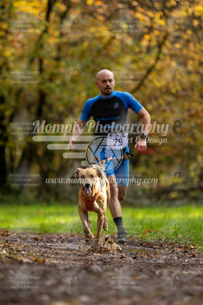 MompixPhotography_Bischwiller23_Canicross-4 | PayLife