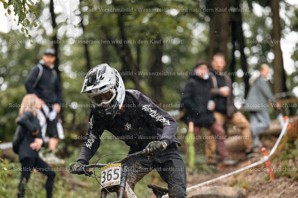 Mountainbike-Action im Winterwald | Das Foto zeigt einen Mountainbiker in voller Montur, der einen steilen, verschneiten Hang hinunterfährt. Er trägt einen schwarzen Trikot mit dem Schriftzug 'Troy Lee Designs' und einen weißen Helm mit dunklen Details. Er trägt auch eine dunkle Hose und Handschuhe. Der Biker trägt die Nummer 365 auf seinem Fahrradrahmen. Im Hintergrund sind weitere Personen in ähnlicher Ausrüstung zu sehen, die den Fahrer beobachten. Der Wald ist dicht bewachsen und die Szene wirkt dynamisch und actionreich. - Realisiert mit Pictrs.com