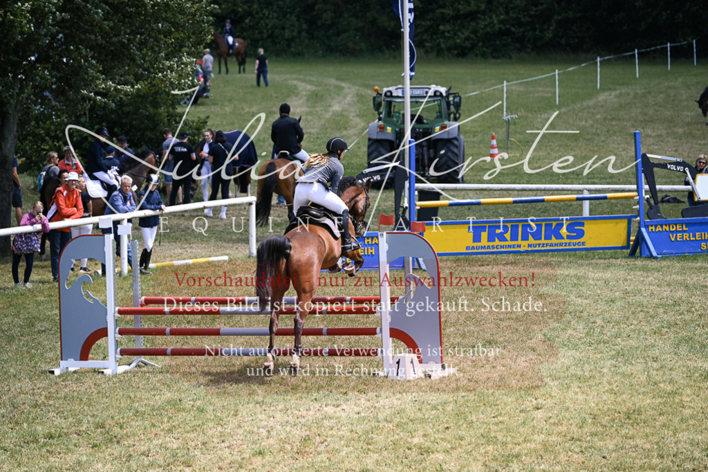 DSC_9465 | Pferde- und Turnierfotografie in Westsachsen. Pferdeportraits, Auftragszeichnungen und intuitive Kunst.