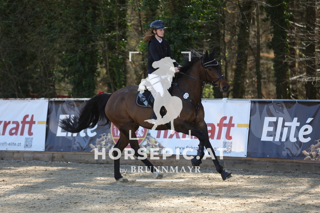 0P6A7829 | Willkommen bei Brunnmayr - Design & Fotografie – Ihrem Spezialisten für Reitturniere und Pferdeveranstaltungen in Oberösterreich, Salzburg und Bayern! Seit über 17 Jahren sind wir leidenschaftlich dabei.