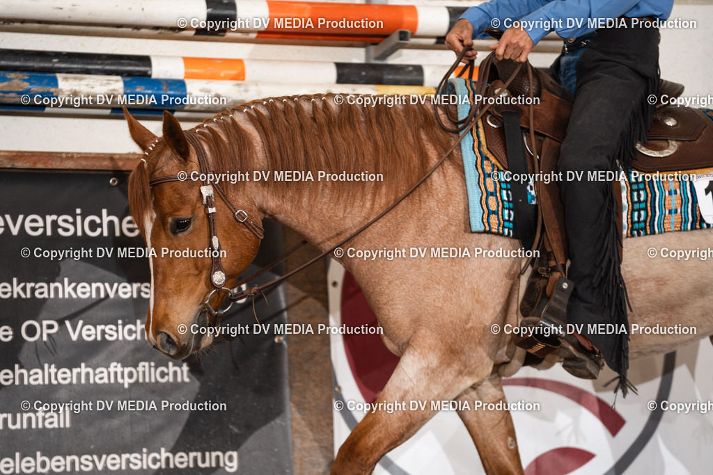 Heiligenwald Tag 3-1166 | dv-media-shop - Realisiert mit Pictrs.com
