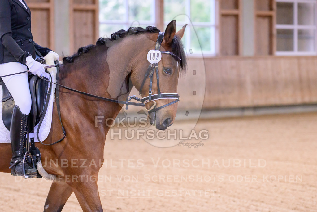 11042026-Mammendorf-Prfg25-0021 | Fokus Hufschlag Fotografie - Realisiert mit Pictrs.com