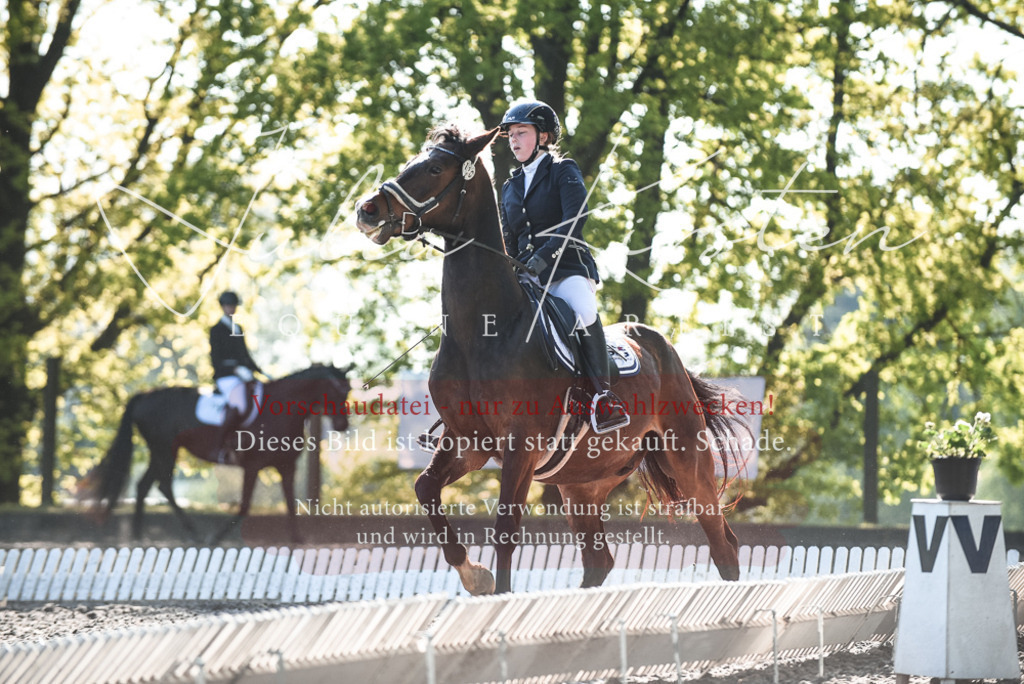 DSC_8304 | Pferde- und Turnierfotografie in Westsachsen. Pferdeportraits, Auftragszeichnungen und intuitive Kunst.