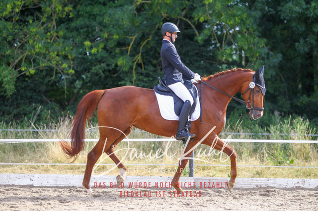 DKP45810 | Turniersportfotografie; Pferdefotografie; Dressurfotografie