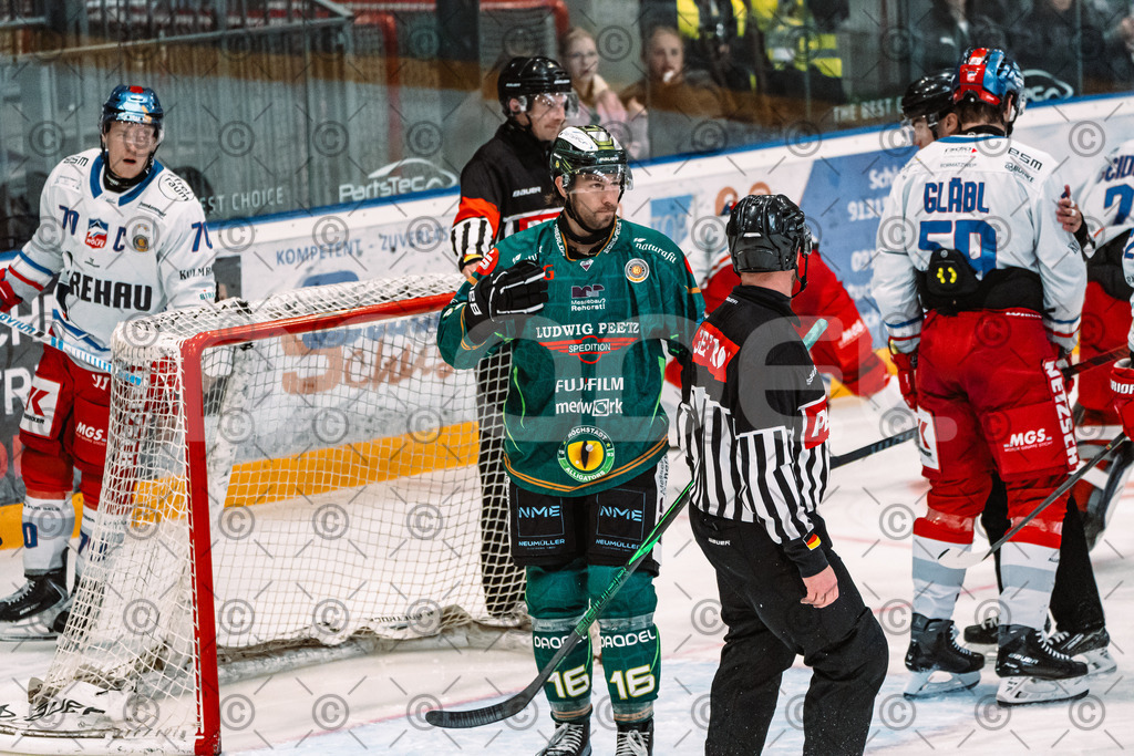 Alligators_vs_Selb_13_09_2026-34 | Die Fotogalerie von Daddel: professionelle Bilder von Sport, Events und Unternehmen aus Franken. Jetzt Galerien durchstöbern und Lieblingsfotos bestellen. - Realisiert mit Pictrs.com