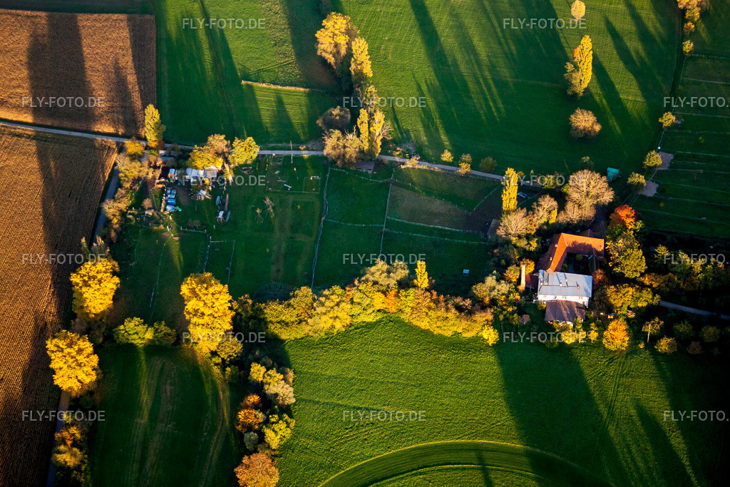 Ortsansicht | Luftbild: Ortsansicht im Ortsteil Billigheim in Billigheim-Ingenheim im Bundesland Rheinland-Pfalz in Deutschland. Foto: IMG_60675.jpg vom 24.10.2013 durch Werner Riehm/FLY-FOTO.de - Realisiert mit Pictrs.com