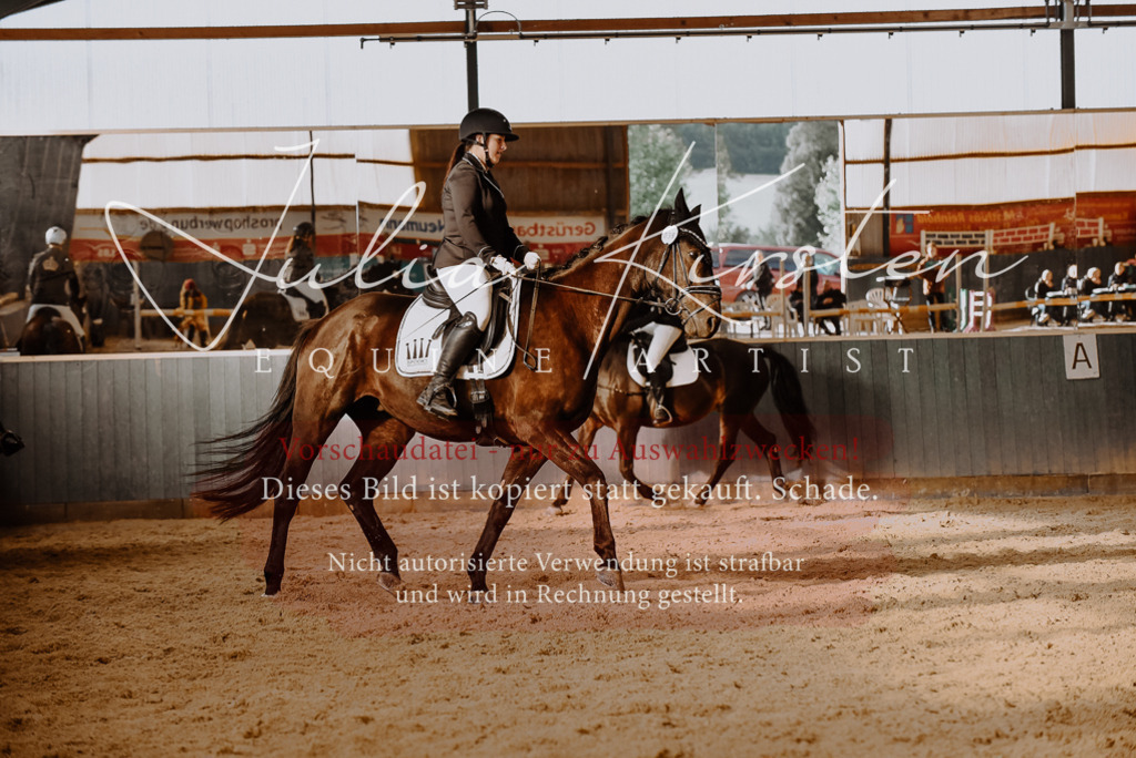 DSC_7564 | Pferde- und Turnierfotografie in Westsachsen. Pferdeportraits, Auftragszeichnungen und intuitive Kunst.