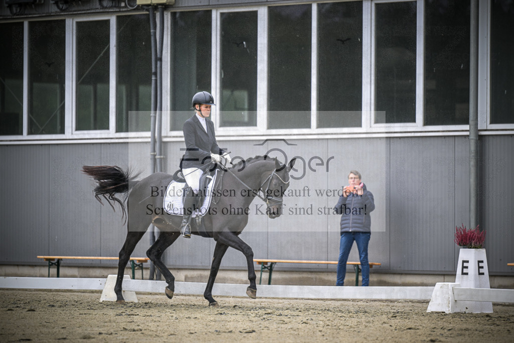 DOS_1337 | Entdecke hochwertige Reitturnierfotos von Foto Oger. Professionell, emotional und authentisch – jetzt Lieblingsmomente im Shop bestellen.Deutschlandweite Turnierfotografie. - Realisiert mit Pictrs.com