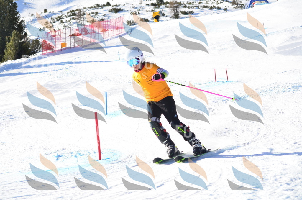 C5827 | holidayphoto