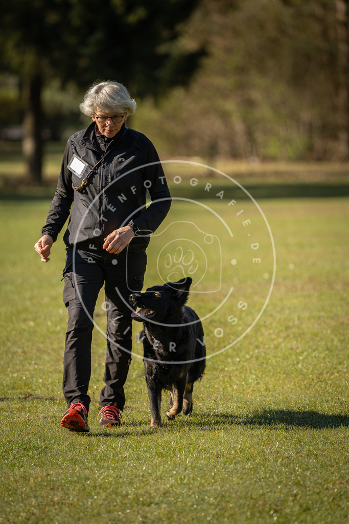 Pfotenfotografie_DV3A0025 | Hundefotografie, Tierfotograf, Pfotenfotografie, Fotoshooting Hund, Hunde Portrait, Hundesport, Hundeportraits, Heideshooting, Hunde, Sportfotograf, Hundefotograf, Turnierhundsport, THS,  - Realisiert mit Pictrs.com