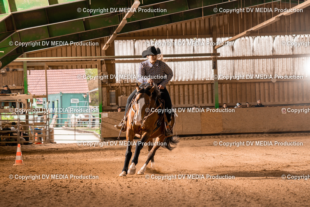 BA301133 | dv-media-shop - Realisiert mit Pictrs.com