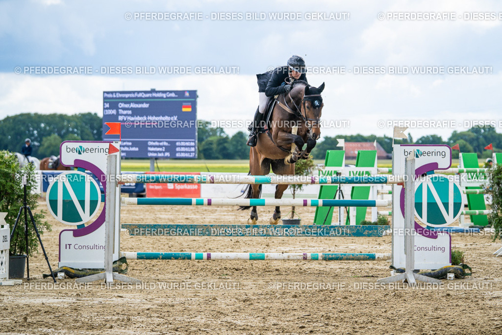 DSC06259 | Pferdegrafie