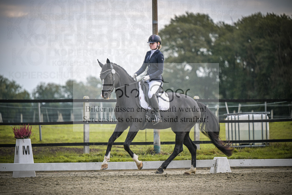 DOS_2712 | Entdecke hochwertige Reitturnierfotos von Foto Oger. Professionell, emotional und authentisch – jetzt Lieblingsmomente im Shop bestellen.Deutschlandweite Turnierfotografie. - Realisiert mit Pictrs.com
