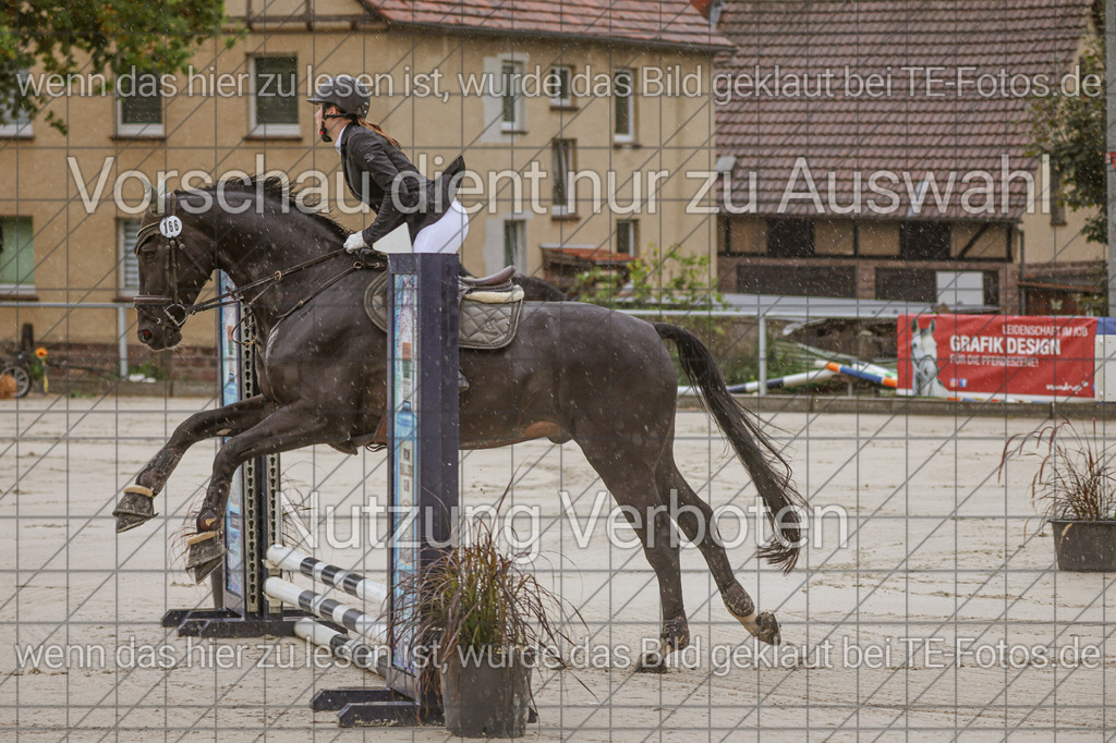 2025-09-22_10-07-58_MG_5921 | TE-Fotos