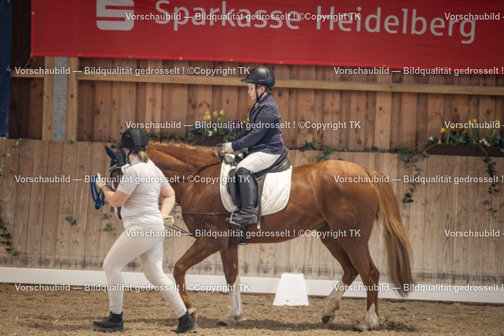 _D5A5293 | Emotionale Pferde- & People-Fotografie rund um Heidelberg, Leimen & Umgebung. Natürliche Fotos von Pferd, Mensch & Familie. Jetzt Termin sichern!