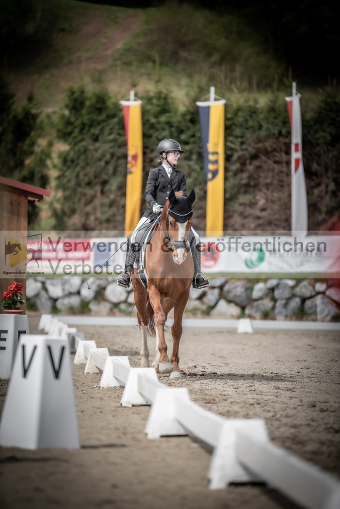 DSC_3211 | equestrian-live-com