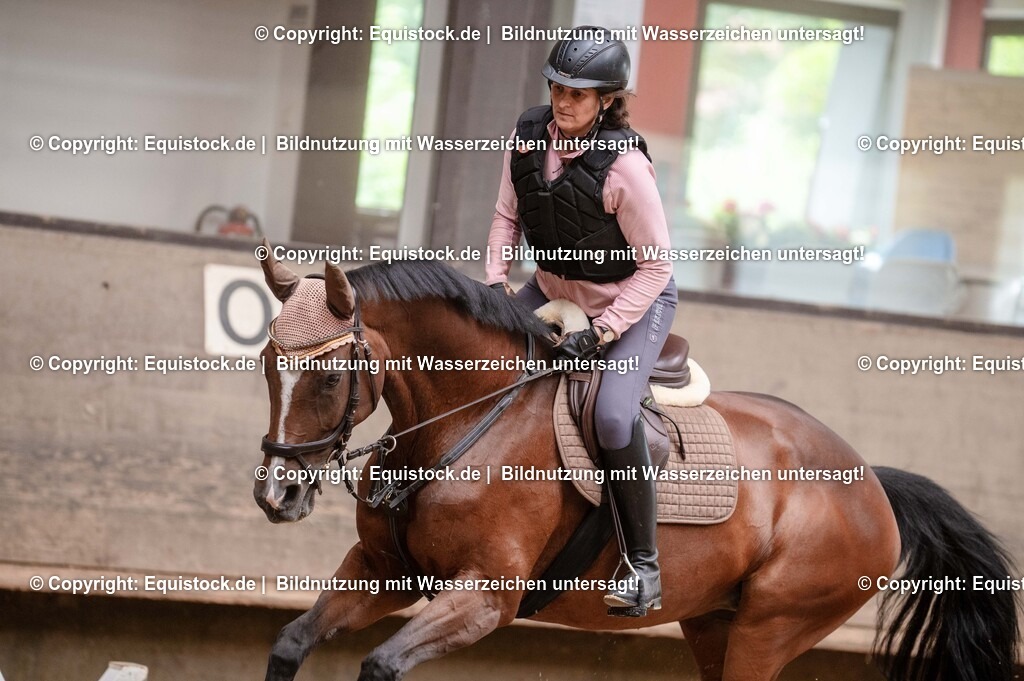 20250725_Vielseitigkeitslehrgang-Marbach_0207 | Foto: Thomas Hartig