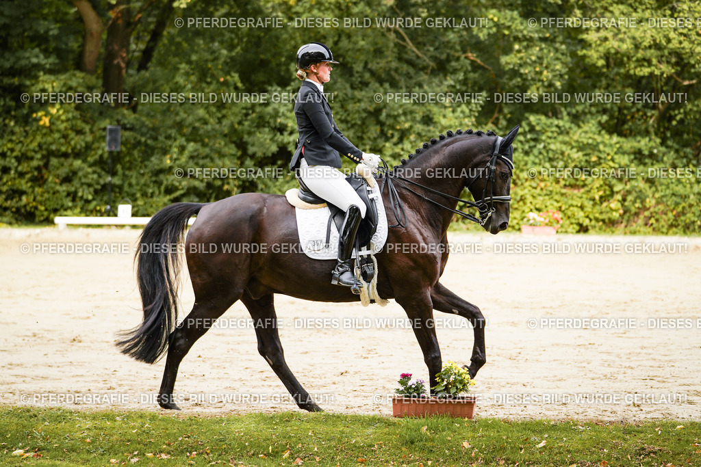 DSC02131 | Pferdegrafie