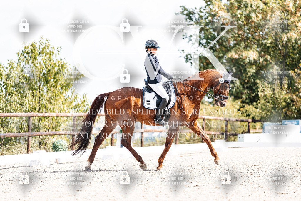 CK902602 | Turnierfotografie Pferdefotografie Trier Rheinland-Pfalz Pferdesport Reitsport Tierfotografie Sportfotografie Pferdevideo Pferdevideografie Equestrianvideography equestrianphotography  - Realisiert mit Pictrs.com