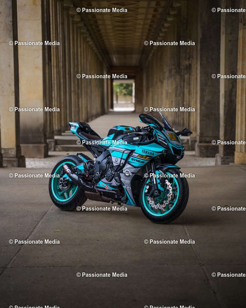 _DSC8320 | Passionate Media, dein Fotograf aus Brandenburg, Märkisch Oderland, im Bereich Motorsport, Autos und Motorräder sowie Events und auch Hunde. Shootings oder auch Eventbegleitungen können bei mir gebucht we