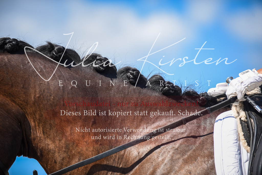 DSC_9598 | Pferde- und Turnierfotografie in Westsachsen. Pferdeportraits, Auftragszeichnungen und intuitive Kunst.