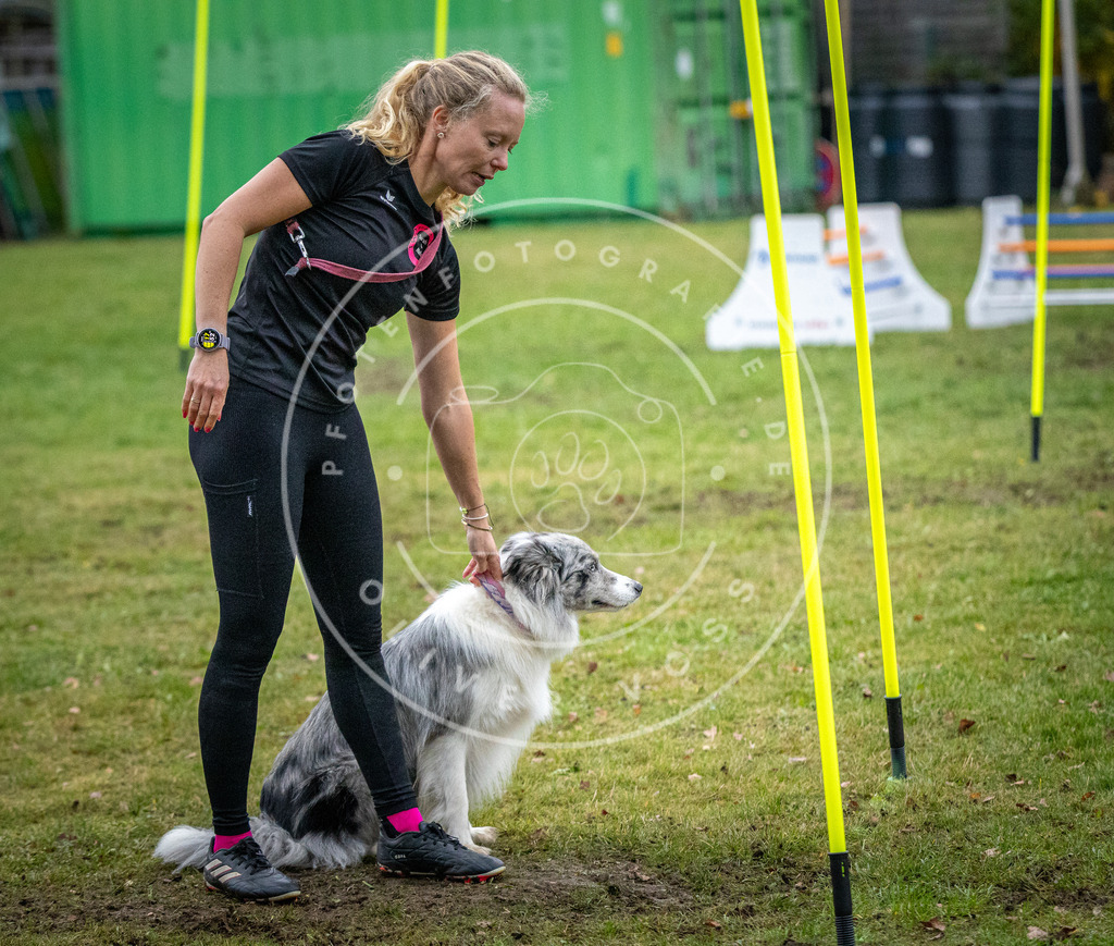 Pfotenfotografie_DV3A1516 | Hundefotografie, Tierfotograf, Pfotenfotografie, Fotoshooting Hund, Hunde Portrait, Hundesport, Hundeportraits, Heideshooting, Hunde, Sportfotograf, Hundefotograf, Turnierhundsport, THS,  - Realisiert mit Pictrs.com