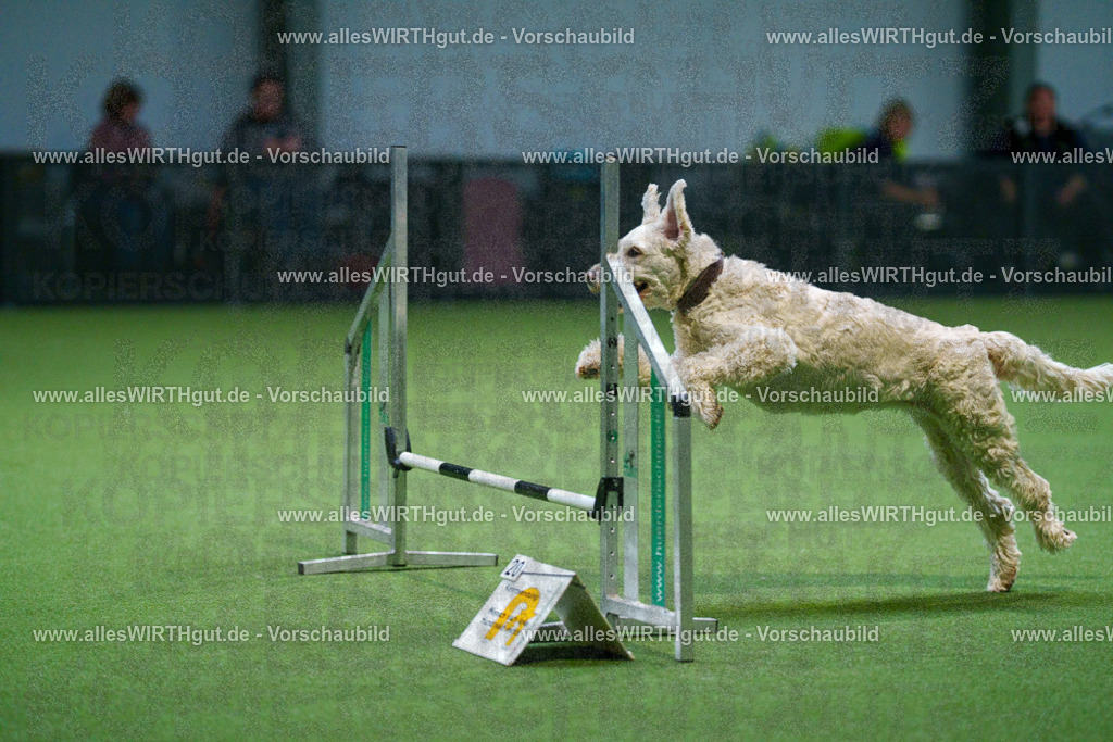 7R500791 | Professionelle Tierfotografie in Mönchengladbach von Daniel Wirth (allesWIRTHgut). Liebevolle & natürliche Bilder von Hunden & Katzen für unvergessliche Erinnerungen.