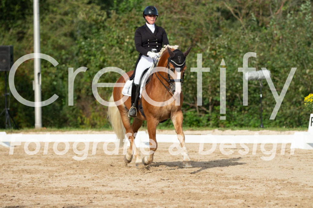 IMG_4496 | Creatify Fotografie