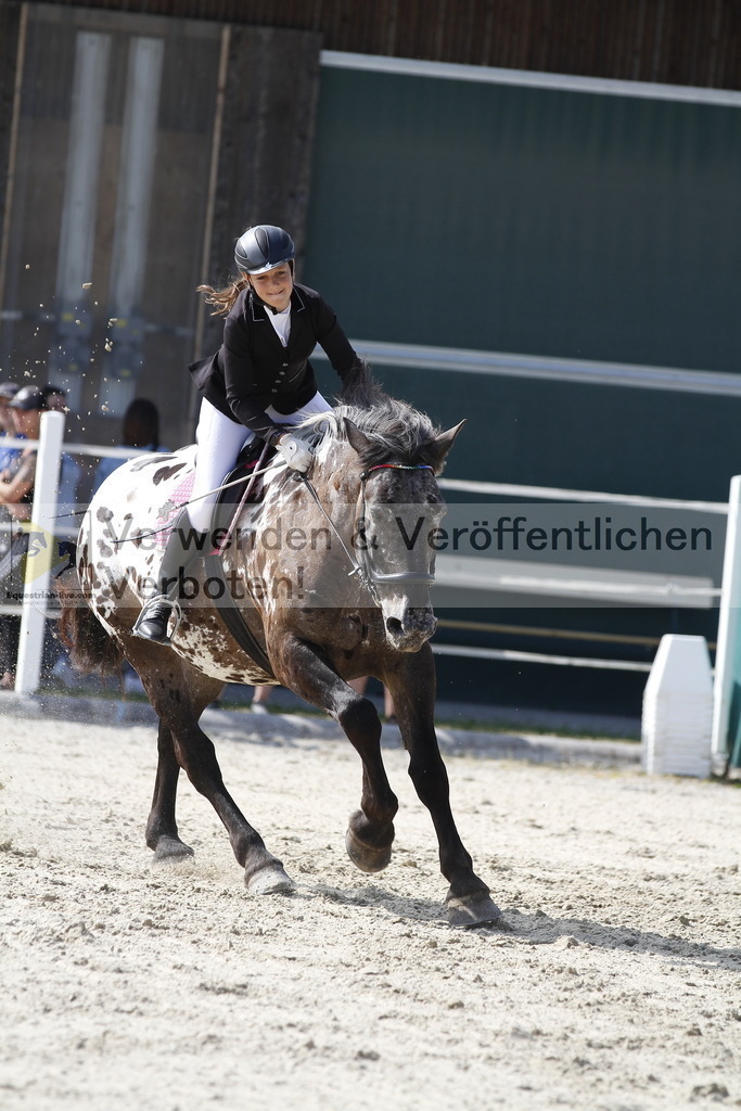 _MG_3436 | equestrian-live-com