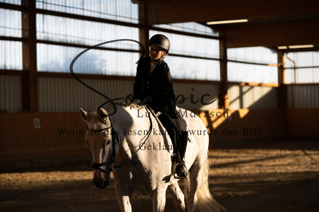 A7V01580 | Turnier/Reitfotograf