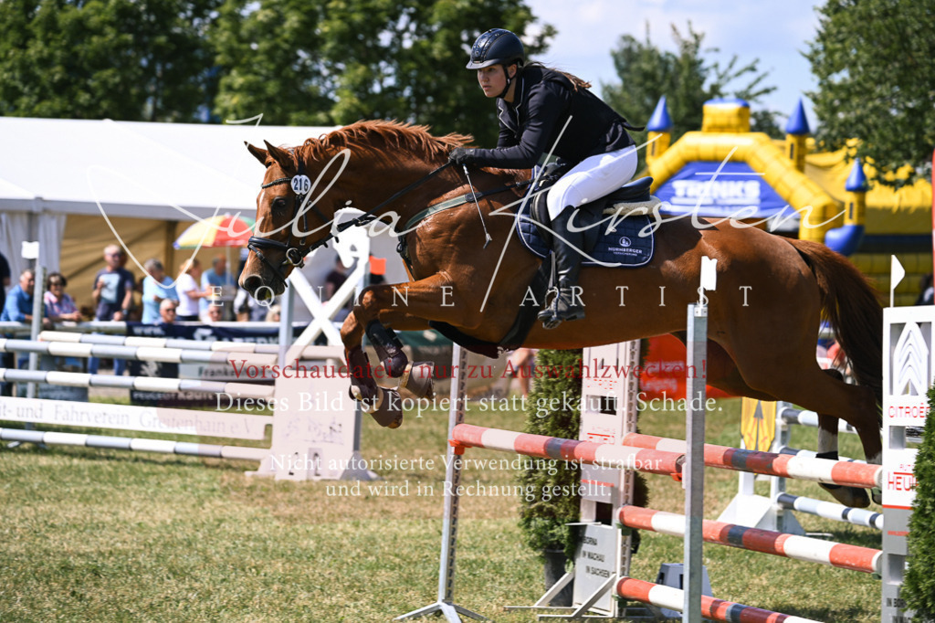 DSC_0362 | Pferde- und Turnierfotografie in Westsachsen. Pferdeportraits, Auftragszeichnungen und intuitive Kunst.
