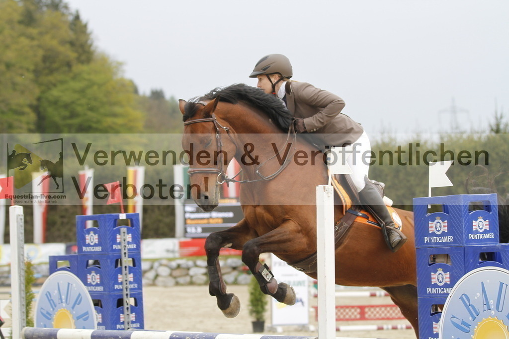 _MG_1100 | equestrian-live-com