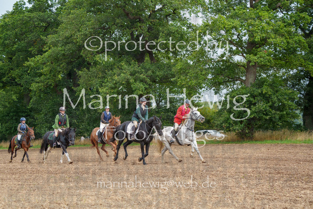 Jagd Perdoel_MarinaHewigMCH04369 | Fotografie, FotoArt, PferdesportArt, Pferdesportfotografie, Landschaftsfotografie, Reisefotografie, Reise, Pferde - Realisiert mit Pictrs.com